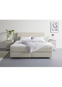 LeGer Home by Lena Gercke, LeGer Home by Lena Gercke Boxspringbett &raquo;Zalia erh&auml;ltlich in verschiedenen Breiten, inkl. Toppper&laquo; wahlweise mit Bonnell- 