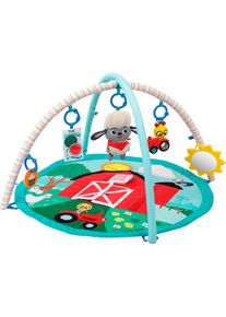 Baby Einstein , Spielbogen »Happy Harvest Touch & Feel Activity Gym« mit Soundeffekt , bunt
