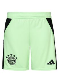 Adidas FC Bayern München 25-26 Fußballshorts Kinder - Größe 164 - grün