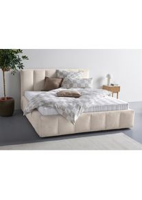 Homsy By Ana Johnson, homsy by Ana Johnson Polsterbett »Somny wahlweise mit Bettkasten, erhältlich in verschiedenen Breiten« luxurious gepolstertes 