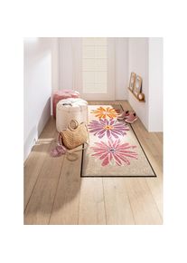 HEINE HOME, HEINE HOME Hocker, beige, B/H/T: 44 cm x 39 cm x 44 cm