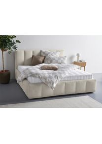 Homsy By Ana Johnson, homsy by Ana Johnson Polsterbett »Somny wahlweise mit Bettkasten, erhältlich in verschiedenen Breiten« luxurious gepolstertes 