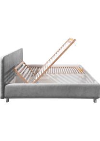 Maintal, Polsterbett &raquo;Wiesenblick, in Samt &Struktur erh&auml;ltlich&laquo; mit Bettkasten, wahlweise in H2,H3 oder H4, grau