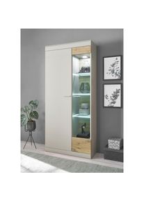 Inosign, Inosign Vitrine &raquo;SCARA ohne Beleuchtung&laquo; mit Applikation Zinneiche Dekor, Breite 90 cm, mit Softclose-Funktion, kieselgrau, B/H/T: 90 cm x 