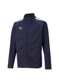 Puma, Herren, Puma Trainingsjacke &raquo;TEAMLIGA TRAINING JACKET JR&laquo; ohne Kapuze f&uuml;r Jugendliche, mit Reissverschlusstaschen, mit DryCELL Technologie, 