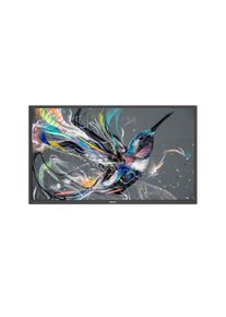 Philips, LED-Display &raquo;32BDL3511Q/0&laquo;, schwarz, Schnittstellen: 3.5 mm Klinke, DVI, HDMI, Infrarot, RJ-45 (LAN), RS-232, USB