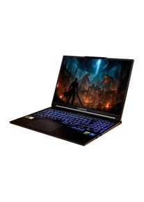 Captiva, Captiva Notebook &raquo;Highend Gaming I98-135CH&laquo; 40,64 cm / 16 &prime;&prime; Intel Core i7 GeForceRTX5070 2.000 GB SSD, schwarz, Intel Core i7-14650HX 