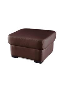 COTTA, COTTA Hocker &raquo;Dani&laquo;, braun, Luxus-Microfaser aus 100% Polyester, B/H/T: 60 cm x 44 cm x 60 cm