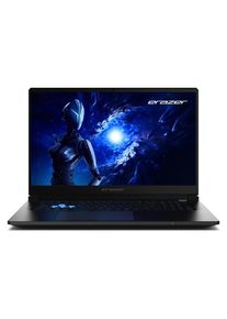 Ackerman Notebook &raquo;Erazer Scout 17 E1 (MD62758)&laquo; 43,942 cm / 17,3 &prime;&prime; Intel Core 5 GeForce RTX 5050 1.000 GB SSD, schwarz, WiFi 6E AX 211 mit Bluetooth,1x USB 