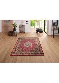 Goodproduct, GOODproduct Wollteppich &raquo;Fares&laquo; rechteckig 12 mm H&ouml;he handgekn&uuml;pft, reine Wolle, mit Fransen, Wohnzimmer, rot, Wolle, 12 mm