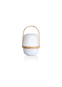 Ackerman Diffuser &raquo;Farfalla Nordic&laquo;, wei&szlig;, Einheitsgr&ouml;&szlig;e, Diffuser