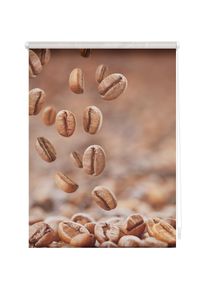 LICHTBLICK Original, LICHTBLICK ORIGINAL Seitenzugrollo &raquo;Rollo Klemmfix, ohne Bohren, blickdicht, Kaffee - Braun&laquo; blickdicht Blendschutz Sichtschutz 