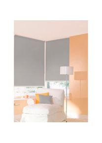 SUNLINES, SUNLINES Seitenzugrollo &raquo;One size Style uni&laquo; Lichtschutz ohne Bohren freih&auml;ngend Made in Germany, hellgrau, Kunststoff, Metall, Polyester