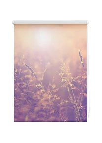 LICHTBLICK Original, LICHTBLICK ORIGINAL Seitenzugrollo &raquo;Klemmfix Motiv Sommerabend&laquo; Lichtschutz ohne Bohren freih&auml;ngend bedruckt, orange, wei&szlig;, 