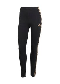 adidas Sportswear, Femmes Pantalon de sport, marron / brocart / cappuccino / noir