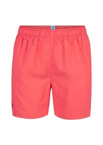 arena, Hommes Boardshorts, bleu / saumon