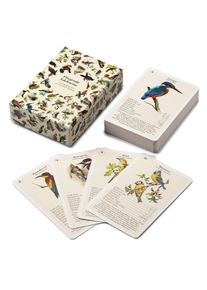 Dominik Eulberg Vogelquartett mit Vogelstimmen