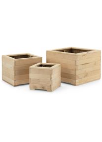 Rhinorock Pflanzk&uuml;bel Kiefernholz Dreierset