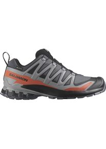 Salomon Herren Xa Pro 3D V9 GTX - breit (2E) grau 46.6
