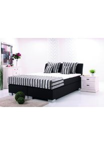 BRECKLE LEDERCOLLECTION Boxspringbett EUROPA