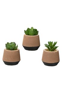 Kaemingk Succulente en pot DEKO