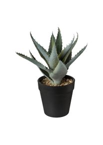 Gasper Plante d&eacute;corative en pot 20cm ALOE