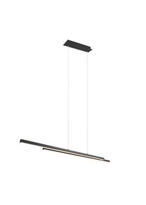 REALITY LEUCHTEN LED Pendelleuchte ODIO