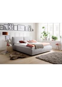 Meise M&ouml;bel Polsterbett ATESIO