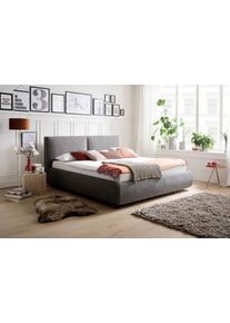 Meise M&ouml;bel Polsterbett ATESIO