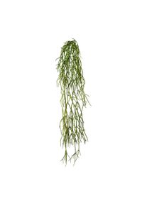 Gasper Plante artificielle RHIPSALIS