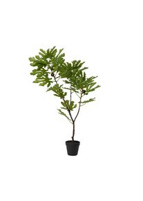 Kaemingk Figuier en pot TREE