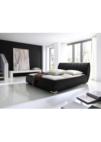 Meise M&ouml;bel Polsterbett BERN