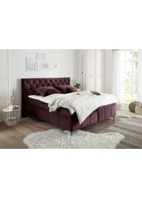 Lit boxspring PEMBROKE 8