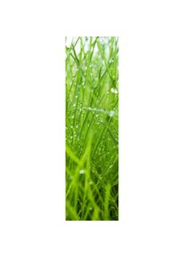 XIMAX Raumheizk&ouml;rper Design Heizk&ouml;rper P1 Plan Print Gras vertikal, 180x52 cm (952 W)