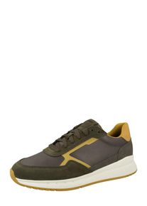 Geox, Hommes Baskets basses 'BRANTHON', moutarde / gris fonc&eacute; / vert fonc&eacute;