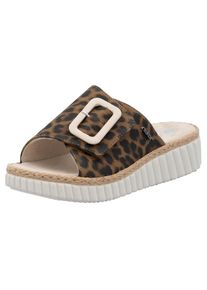 Rieker, Unisex, Pantolette Sommerschuh, Strandschuh, Urlaubschuh, Hausschuh mit Klettverschluss, leo, 43, Pantolette im angesagten Leo-Look