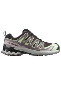 Salomon - Women's XA Pro 3D V9 GTX - Multisportschuhe EU 36 grau