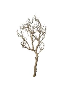 Dekozweig , Braun , Kunststoff , 95 cm , Dekoration, Blumen & Blument&ouml;pfe, Kunstblumen