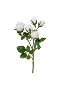 Gasper Fleur d&eacute;corative POLYANTROSE