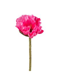 Gasper Fleur d&eacute;corative MOHN