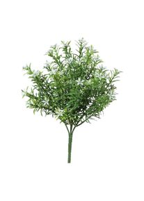 Gasper Aster FLOWERS