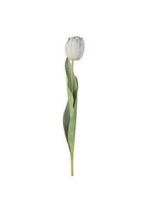 Gasper Fleur d&eacute;corative TULPE