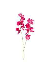 Gasper Vesce FLOWERS