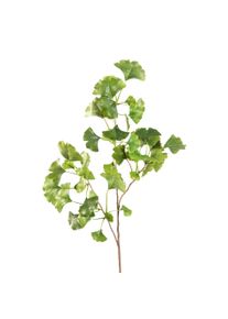 Gasper Branche de gingko FLOWERS