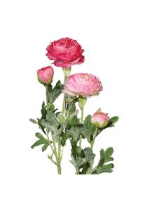 Gasper Fleur d&eacute;corative RANUNKEL