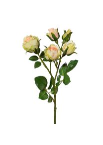 Gasper Fleur d&eacute;corative POLYANTROSE