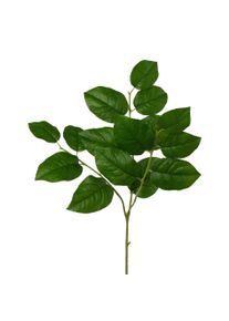 Gasper Branche de salal FLOWERS