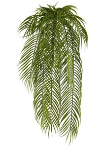 Gasper Palmier avec feuilles tombantes FLOWERS