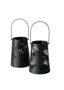 Boltze Photophore PALMERA