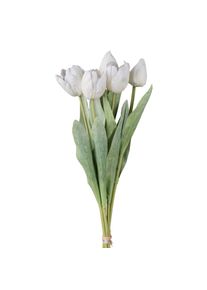 Gasper Bouquet de 5 tulipes TULPE
